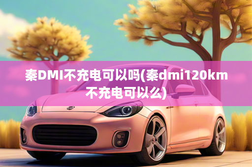 秦DMI不充电可以吗(秦dmi120km不充电可以么)