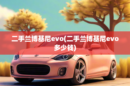 二手兰博基尼evo(二手兰博基尼evo多少钱)
