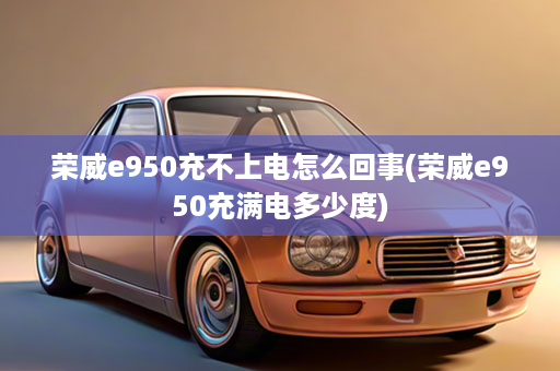 荣威e950充不上电怎么回事(荣威e950充满电多少度)