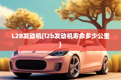 L2B发动机(l2b发动机寿命多少公里)