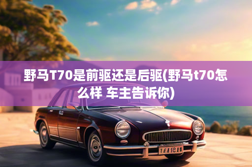野马T70是前驱还是后驱(野马t70怎么样 车主告诉你)