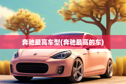 奔驰最高车型(奔驰最高的车)