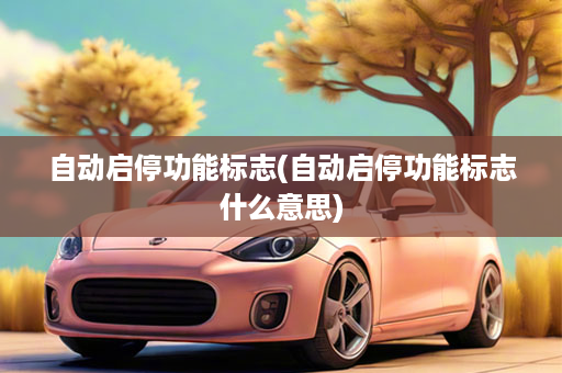 自动启停功能标志(自动启停功能标志什么意思)