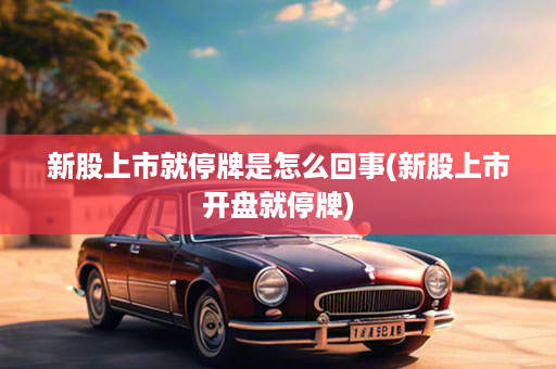 新股上市就停牌是怎么回事(新股上市开盘就停牌)
