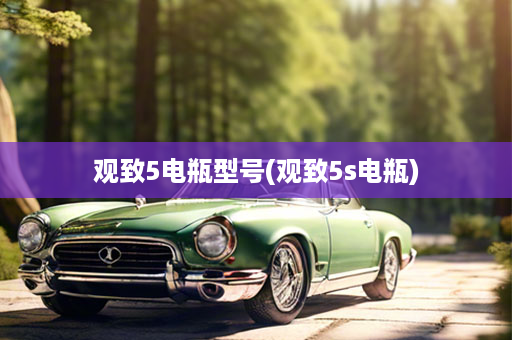 观致5电瓶型号(观致5s电瓶)
