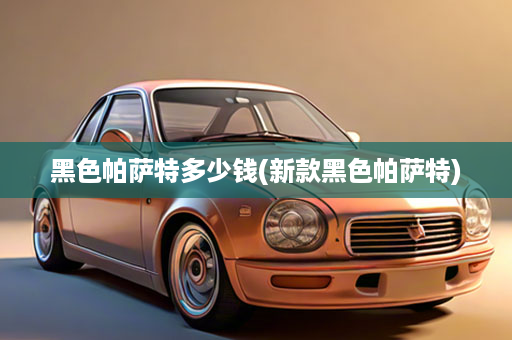 黑色帕萨特多少钱(新款黑色帕萨特)