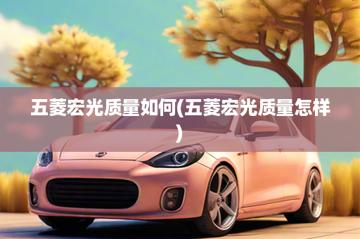 五菱宏光质量如何(五菱宏光质量怎样)