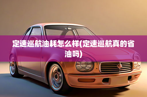 定速巡航油耗怎么样(定速巡航真的省油吗)