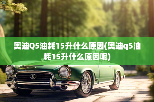 奥迪Q5油耗15升什么原因(奥迪q5油耗15升什么原因呢)