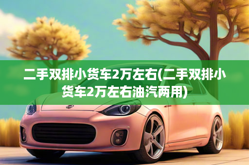 二手双排小货车2万左右(二手双排小货车2万左右油汽两用)