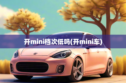 开mini档次低吗(开mini车)
