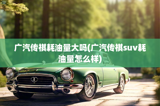 广汽传祺耗油量大吗(广汽传祺suv耗油量怎么样)