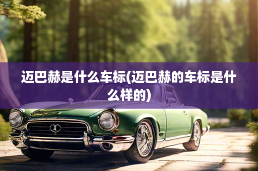 迈巴赫是什么车标(迈巴赫的车标是什么样的)