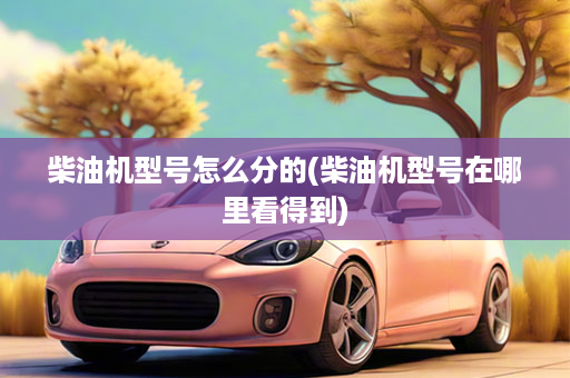 柴油机型号怎么分的(柴油机型号在哪里看得到)