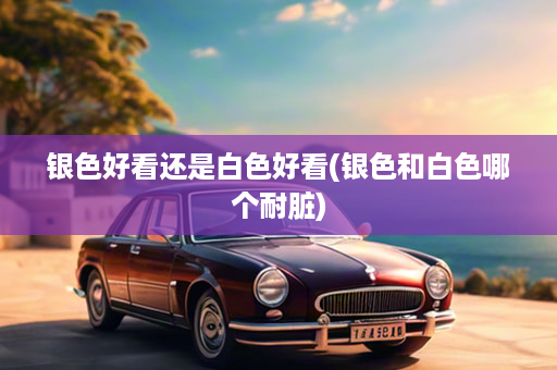 银色好看还是白色好看(银色和白色哪个耐脏)