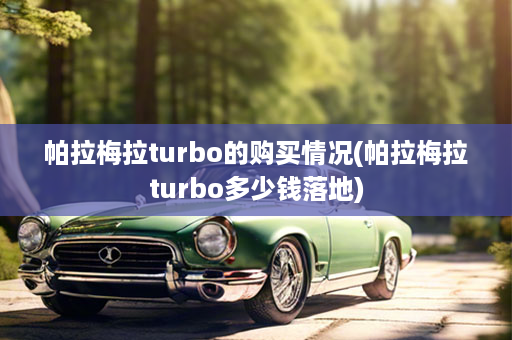 帕拉梅拉turbo的购买情况(帕拉梅拉turbo多少钱落地)
