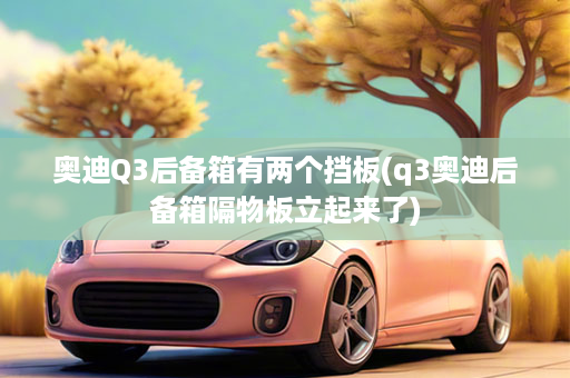 奥迪Q3后备箱有两个挡板(q3奥迪后备箱隔物板立起来了)