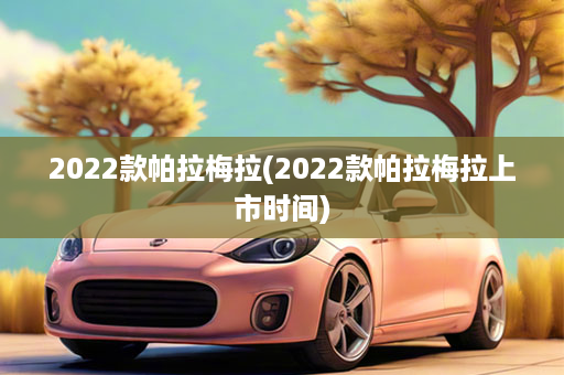 2022款帕拉梅拉(2022款帕拉梅拉上市时间)