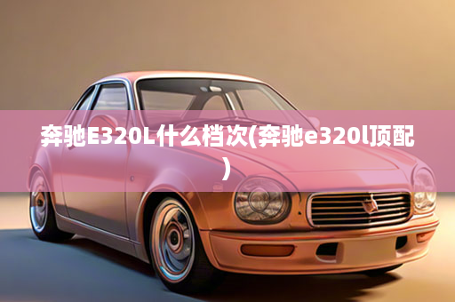 奔驰E320L什么档次(奔驰e320l顶配)