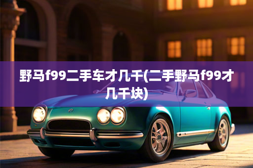 野马f99二手车才几千(二手野马f99才几千块)