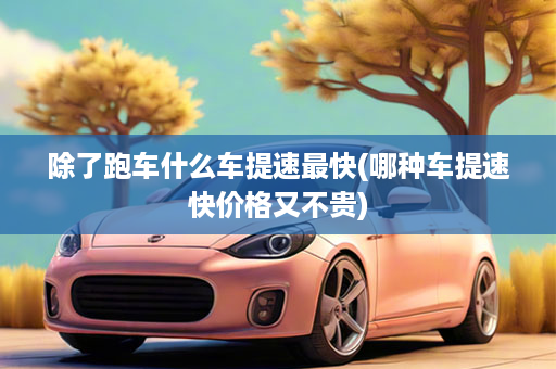 除了跑车什么车提速最快(哪种车提速快价格又不贵)