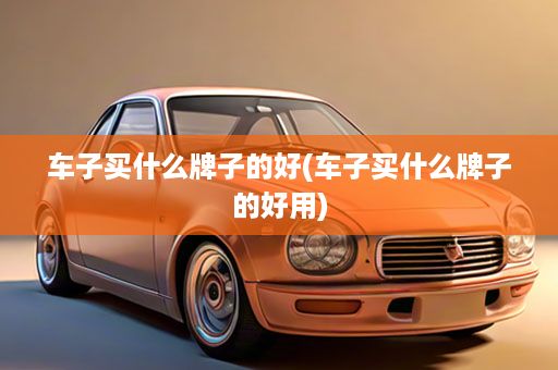 车子买什么牌子的好(车子买什么牌子的好用)