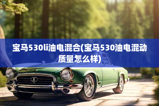 宝马530li油电混合(宝马530油电混动质量怎么样)