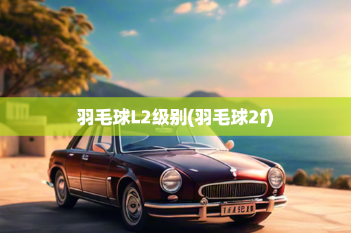 羽毛球L2级别(羽毛球2f)