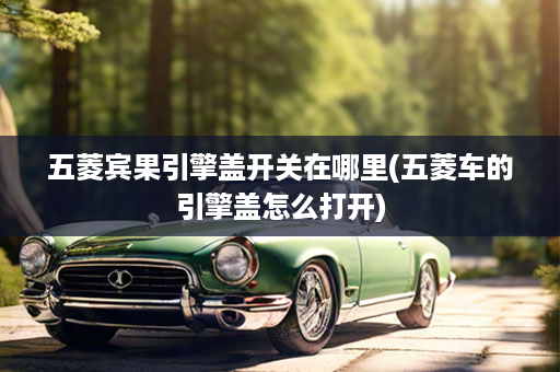 五菱宾果引擎盖开关在哪里(五菱车的引擎盖怎么打开)