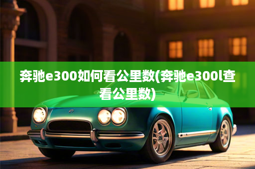 奔驰e300如何看公里数(奔驰e300l查看公里数)