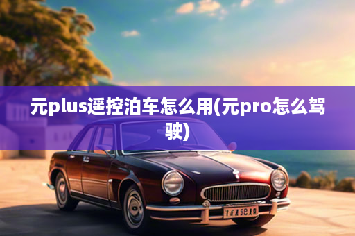 元plus遥控泊车怎么用(元pro怎么驾驶)