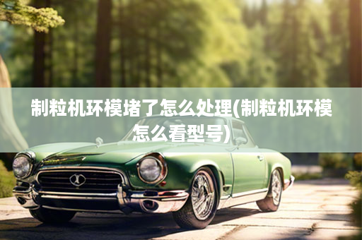 制粒机环模堵了怎么处理(制粒机环模怎么看型号)
