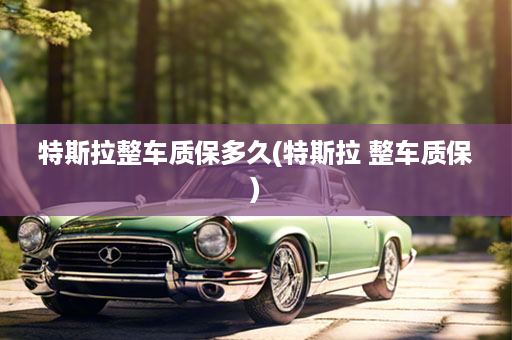 特斯拉整车质保多久(特斯拉 整车质保)