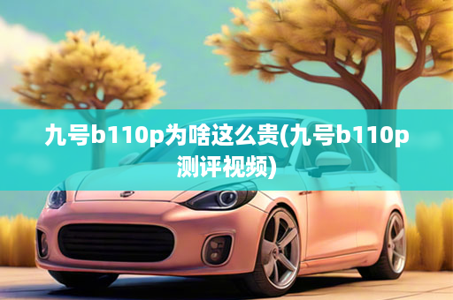 九号b110p为啥这么贵(九号b110p测评视频)