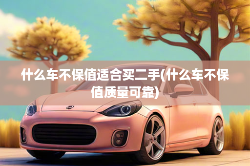 什么车不保值适合买二手(什么车不保值质量可靠)