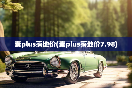 秦plus落地价(秦plus落地价7.98)
