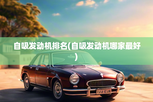 自吸发动机排名(自吸发动机哪家最好)