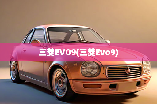 三菱EVO9(三菱Evo9)