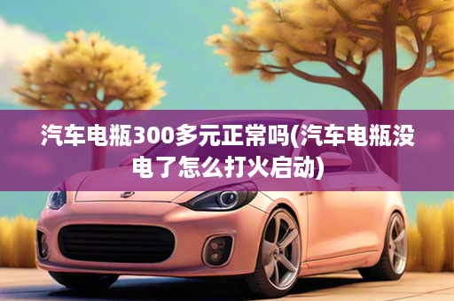 汽车电瓶300多元正常吗(汽车电瓶没电了怎么打火启动)