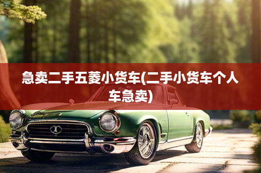 急卖二手五菱小货车(二手小货车个人车急卖)