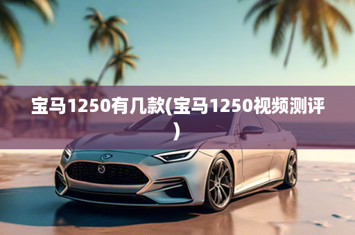 宝马1250有几款(宝马1250视频测评)