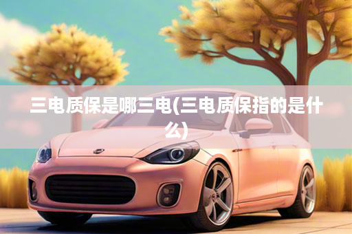 三电质保是哪三电(三电质保指的是什么)