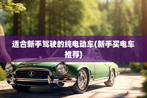 适合新手驾驶的纯电动车(新手买电车推荐)