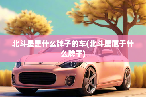 北斗星是什么牌子的车(北斗星属于什么牌子)
