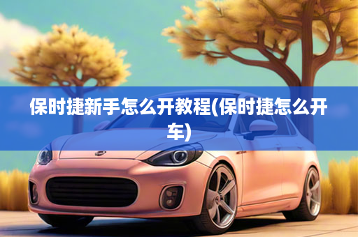 保时捷新手怎么开教程(保时捷怎么开车)