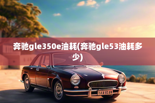 奔驰gle350e油耗(奔驰gle53油耗多少)