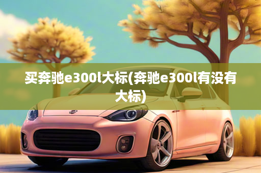 买奔驰e300l大标(奔驰e300l有没有大标)