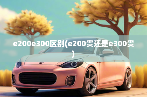 e200e300区别(e200贵还是e300贵)
