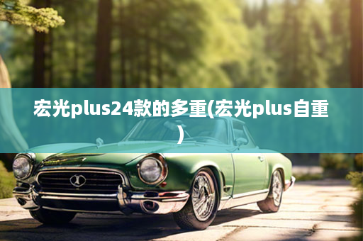 宏光plus24款的多重(宏光plus自重)