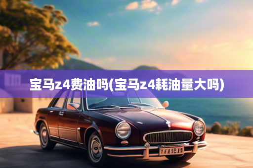 宝马z4费油吗(宝马z4耗油量大吗)